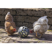 Hühner Snackball beeztees Grau 15 x 15 x 15 cm recycelter Kunststoff-thumb-5