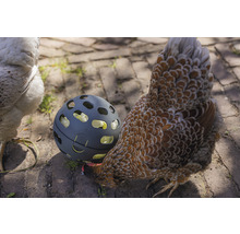 Hühner Snackball beeztees Grau 15 x 15 x 15 cm recycelter Kunststoff-thumb-4