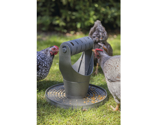 Hühner fressen aus einem grauen Futterspender auf einer grünen Wiese.