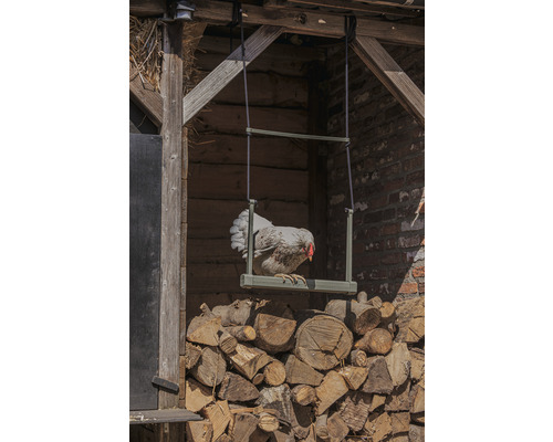 Huhn auf einer Schaukel über einem Holzstapel vor einem Holzunterstand