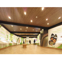 Intérieur avec plafond en bois, écrans interactifs et peintures murales sur le thème des papillons