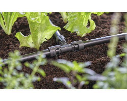 Raccord en T pour l''irrigation dans un parterre de jardin