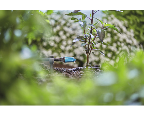 Système d''irrigation pour plantes dans le jardin
