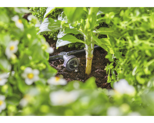 Arrosage goutte à goutte dans le parterre pour l''arrosage des plantes.