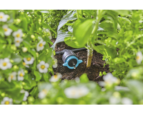 Arrosage goutte à goutte dans un parterre de jardin pour l''arrosage des plantes