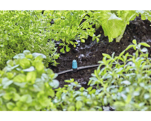 Système d''irrigation avec goutteurs entre différentes plantes
