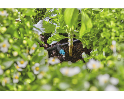 Système d''irrigation goutte à goutte dans un parterre de jardin avec des plantes