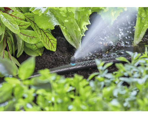 Système d''irrigation avec tuyau goutte à goutte et plantes dans le jardin