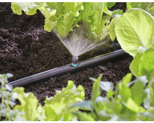 Système d''irrigation en cours d''utilisation pour l''arrosage des plantes dans une plate-bande