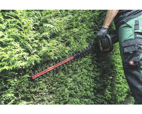 Une personne coupe une haie avec un taille-haie.