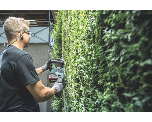 Homme taillant une haie avec un taille-haie
