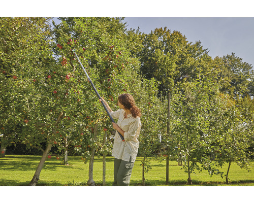 Frau erntet Äpfel mit einem Obstpflücker im Garten.