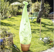 Pot de fleurs avec filet de protection contre les parasites dans le jardin.
