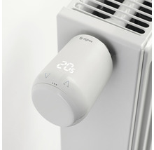 Elektronischer Heizkörperthermostat mit Digitalanzeige und Zigbee Logo am Heizkörper