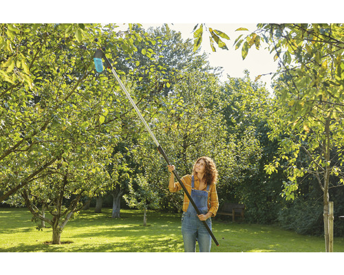 Eine Frau erntet mit einem Obstpflücker Äpfel in einem Garten.