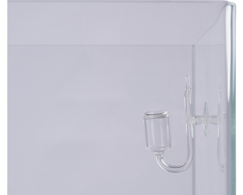 Diffuseur en verre pour l''alimentation en CO2 dans l''aquarium