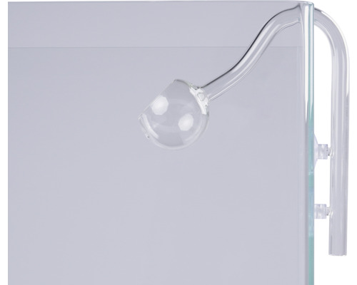 Diffuseur de CO2 en verre pour aquarium