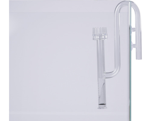 Aquarium avec tuyau d''aspiration en verre