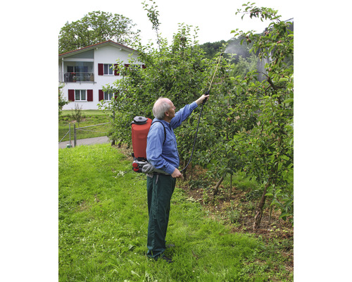 Eine Person sprüht mit einem Rückensprühgerät einen Baum im Garten.
