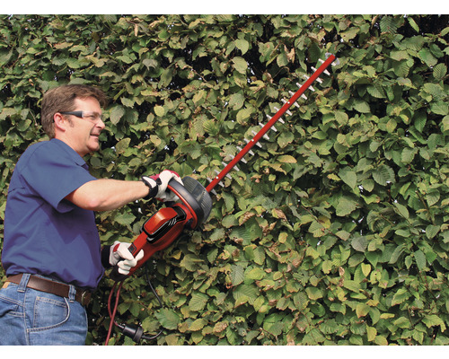 Un homme taille une haie avec un taille-haie