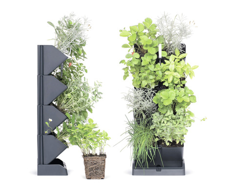 Deux jardins verticaux avec diverses herbes et plantes dans des jardinières empilées.