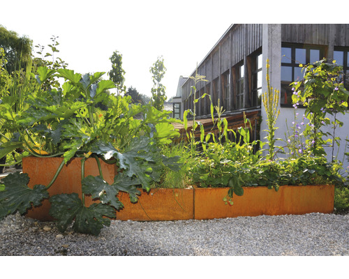 Jardinière surélevée plantée de légumes et d''herbes aromatiques devant un bâtiment