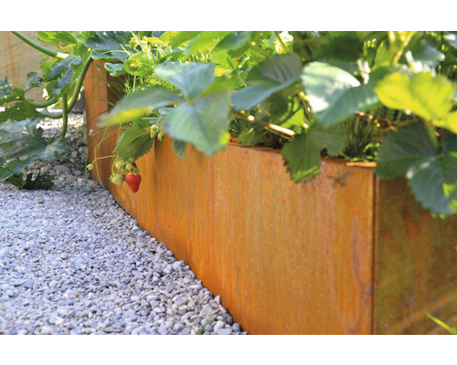 Hochbeet aus Metall mit Erdbeeren im Garten