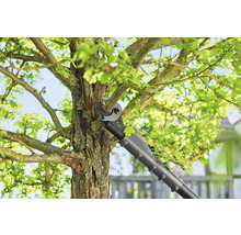 Élagueuse en cours d''utilisation sur un arbre dans le jardin.