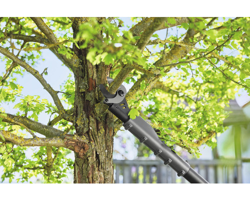 Élagueuse en cours d''utilisation sur un arbre dans le jardin.