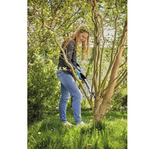 Femme coupant un arbre avec un sécateur dans le jardin