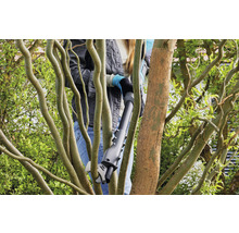 Femme coupant des branches avec un sécateur