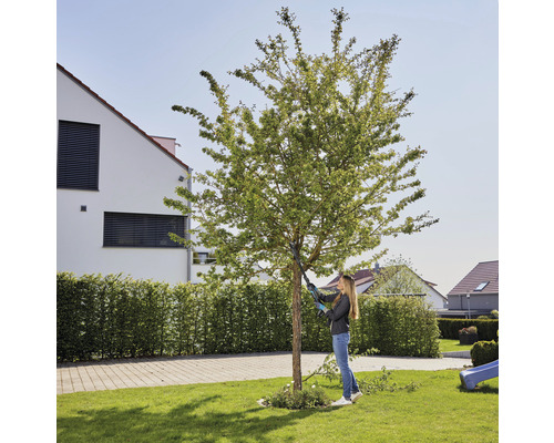 Une femme taille un arbre avec un sécateur dans le jardin.