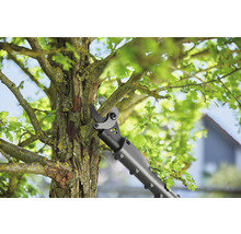 Élagueur coupant une branche sur un arbre.