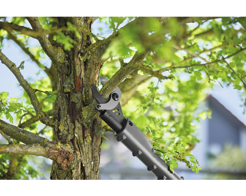 Élagueur coupant une branche sur un arbre.
