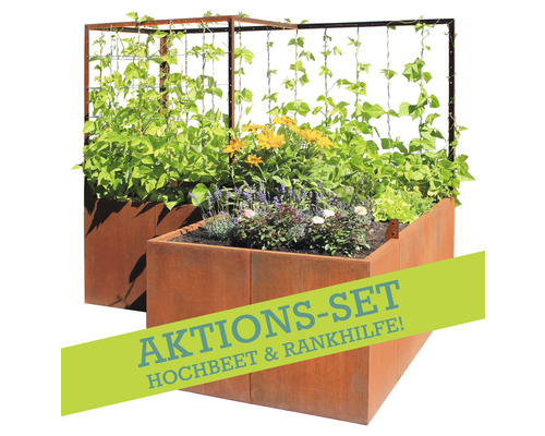 Ensemble de parterre surélevé avec support pour plantes grimpantes, planté de différentes plantes