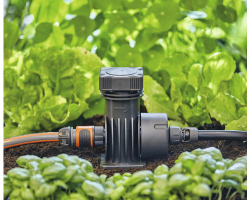 Horloge d''arrosage avec tuyau d''arrosage et plantes dans le jardin
