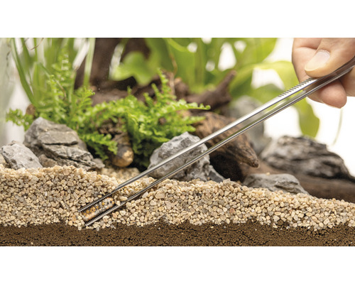 Dekoratives Terrarium mit Pflanzen, Steinen und Kies, das mit einer Pinzette bearbeitet wird.