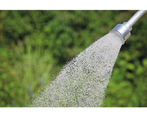 Bewässerung mit einem Gartenschlauch