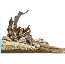 Aquariengestaltung mit Wurzelholz, Steinen und Sand