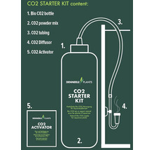 Dennerle Plants CO2 Starter Kit mit CO2 Flasche, CO2 Pulver, Schlauch, Diffusor und Aktivator