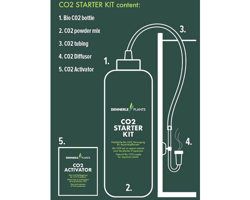 Dennerle Plants CO2 Starter Kit mit CO2 Flasche, CO2 Pulver, Schlauch, Diffusor und Aktivator
