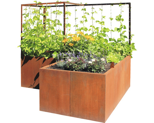 palatino Kit de jardinière surélevée 300x100x183 cm marron