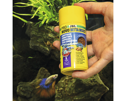 JBL Pro Novo Betta Insect nourriture pour poissons combattants