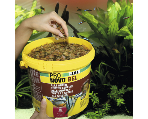 JBL Pro Novo Bel nourriture en flocons pour toutes les espèces de poissons d''ornement dans un seau