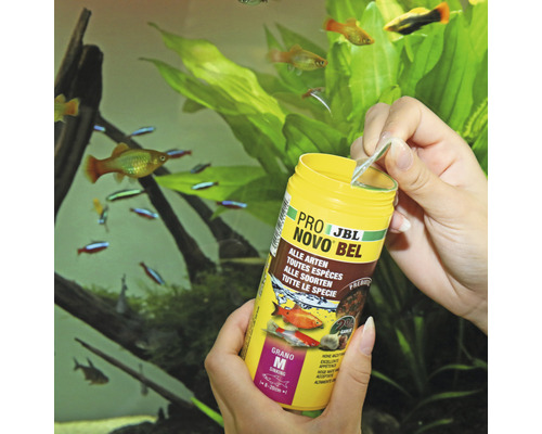 JBL NovoBel Futterdose für alle Fischarten wird von Händen geöffnet vor Aquarium