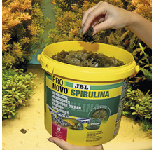 JBL Pro Novo Spirulina Nourriture pour poissons Boîte avec flocons de spiruline