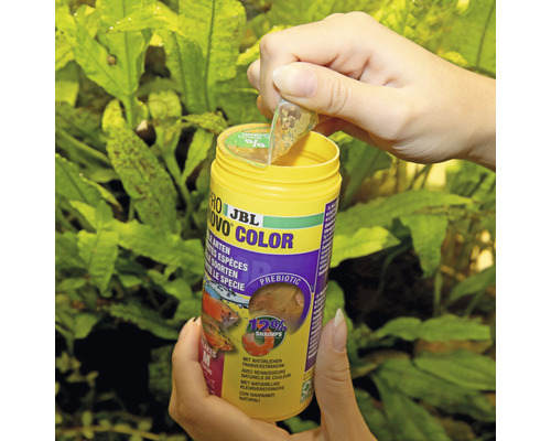 Boîte d''aliments pour poissons JBL Novo Color ouverte.