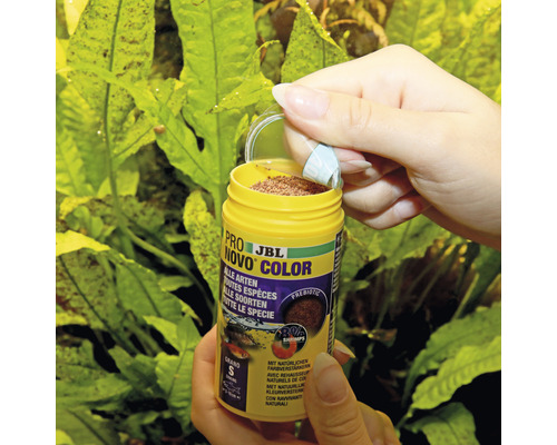 Ouverture d''une boîte de nourriture pour poissons JBL Novo Color pour toutes les espèces