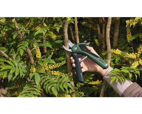Bosch Logo. Eine Hand hält eine Akku-Gartenschere, die einen Ast an einem Busch schneidet.