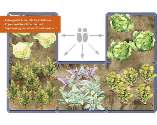 Jardinière surélevée en forme de U avec divers légumes et herbes.